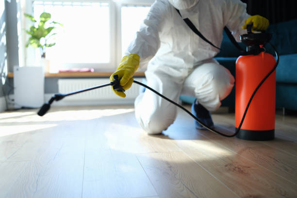 Reliable Odor Removal contractor in Hempstead, TX by Dulley Family Biohazard Services